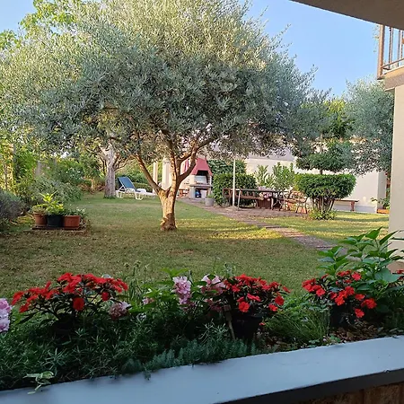 Dado Porec